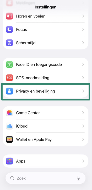 iPhone Settings screen with Privacy & Security highlighted.