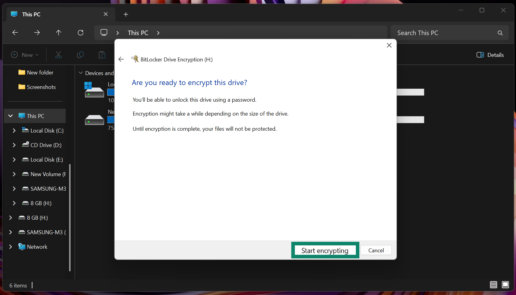 BitLocker confirmation screen before encrypting the flash drive with the Start encrypting button highlighted.