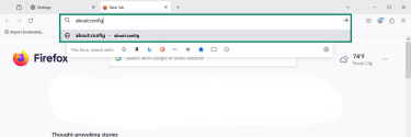 About:config typed into the Firefox URL bar.