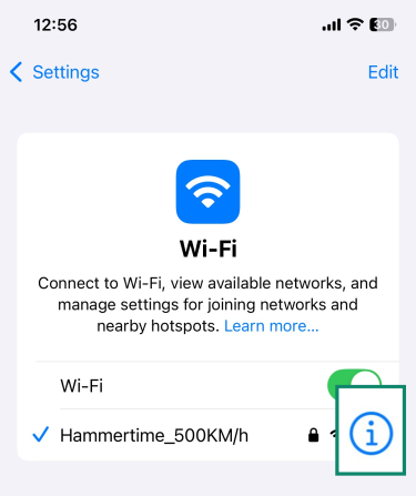Tap the network's information icon to reveal its DNS settings dashboard.