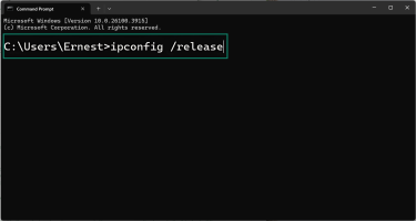 Type ipconfig /release to release your old DHCP lease.