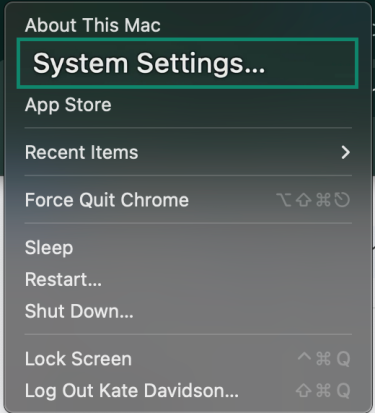 Image showing Mac System Settings.