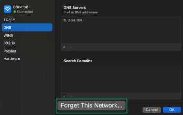 Image showing Forget This Network option in Mac DNS settings.